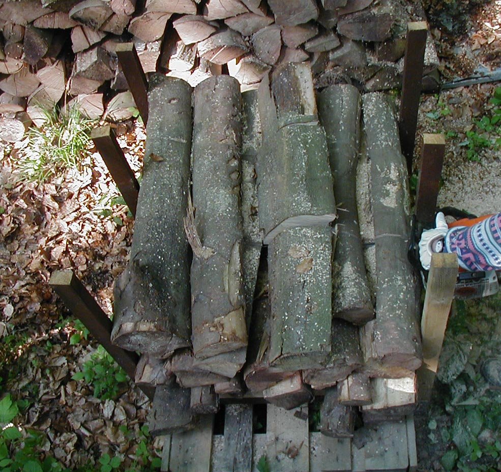 Saegevorrichtung
