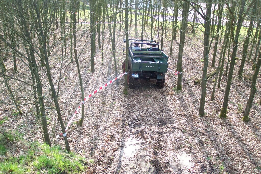 Der enge Wald in Nordhorn