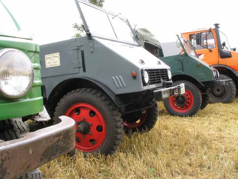 Der kleine graue ist einer der schönsten ...