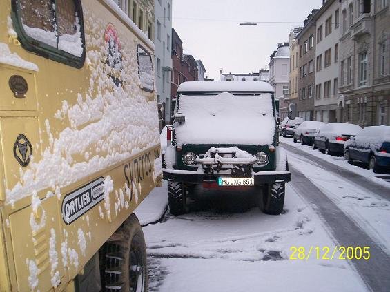 Dinos im Schnee