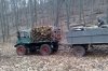 wald