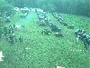 Traktorfreunde Kannebäckerland