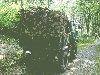 Holz fahren