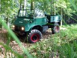Unimog 411 im Wald